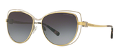 Michael Kors MK1013 AUDRINA I Women Cat Eye Sunglasses - 112011