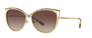 Michael Kors MK1020 INA Women Cat Eye Sunglasses - 116313