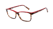 Etnia Barcelona AMALFI Eyeglasses - LERD